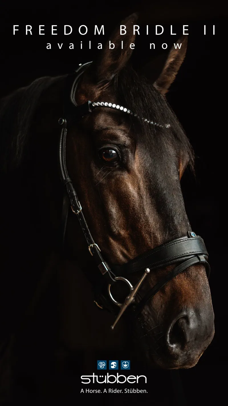 Stubben Freedom Bridle II Black-1
